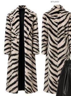 Le manteau zèbre, face et dos